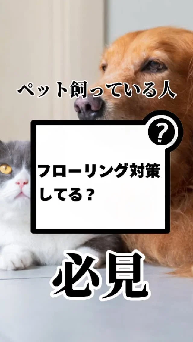 ペット飼っている人は絶対見て🐶
#フロアコーティング #ペット  #赤ちゃん  #住宅オプション  #沖縄  #新築  #マンション